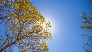 O Setembro Amarelo enfatiza a Valorização da Vida e Prevenção ao suicídio e reforça os cuidados com a saúde mental durante todo o ano