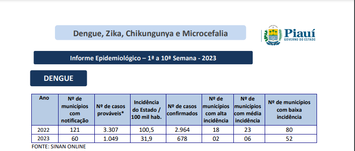 Piauí apresenta redução em notificações de Dengue, Zika e Chikngunya na 10° semana epidemiológica