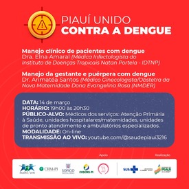 Sesapi realiza treinamento online para médicos sobre o manejo de pacientes com dengue