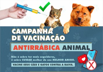 Sesapi orienta municípios sobre realização da Campanha Antirrábica de 2024