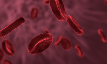 Avaliação clínica aprova 80% dos doadores de sangue